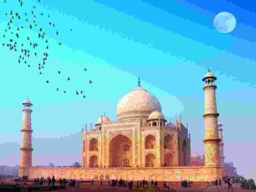 Curabitur nisl lorem