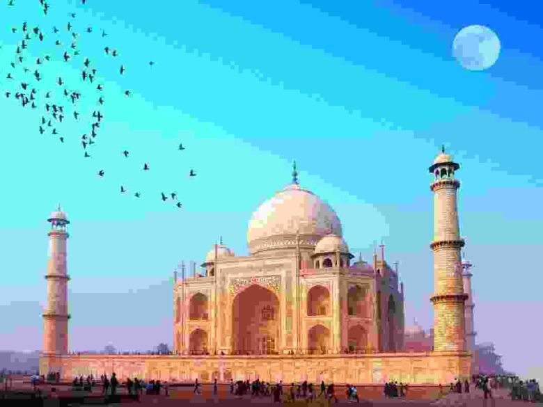 Curabitur nisl lorem